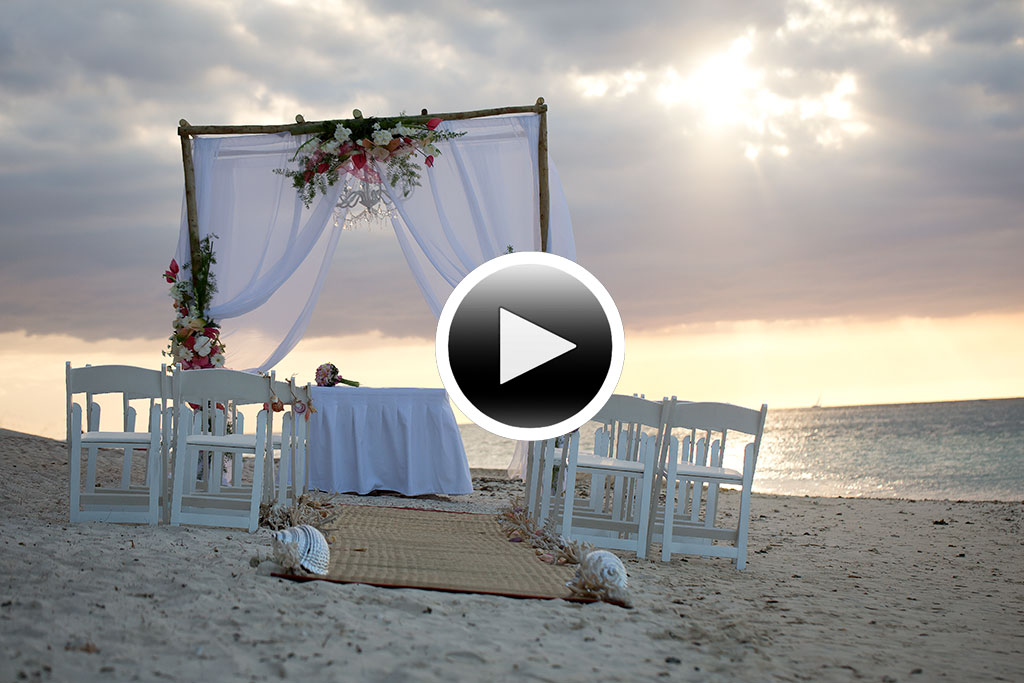 Wedding Reel-image